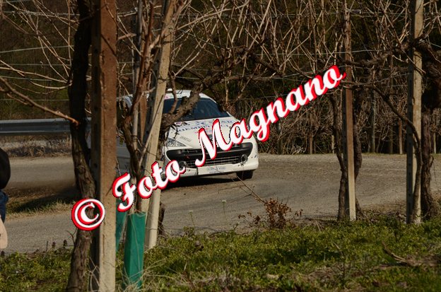 DSC_7056.jpg